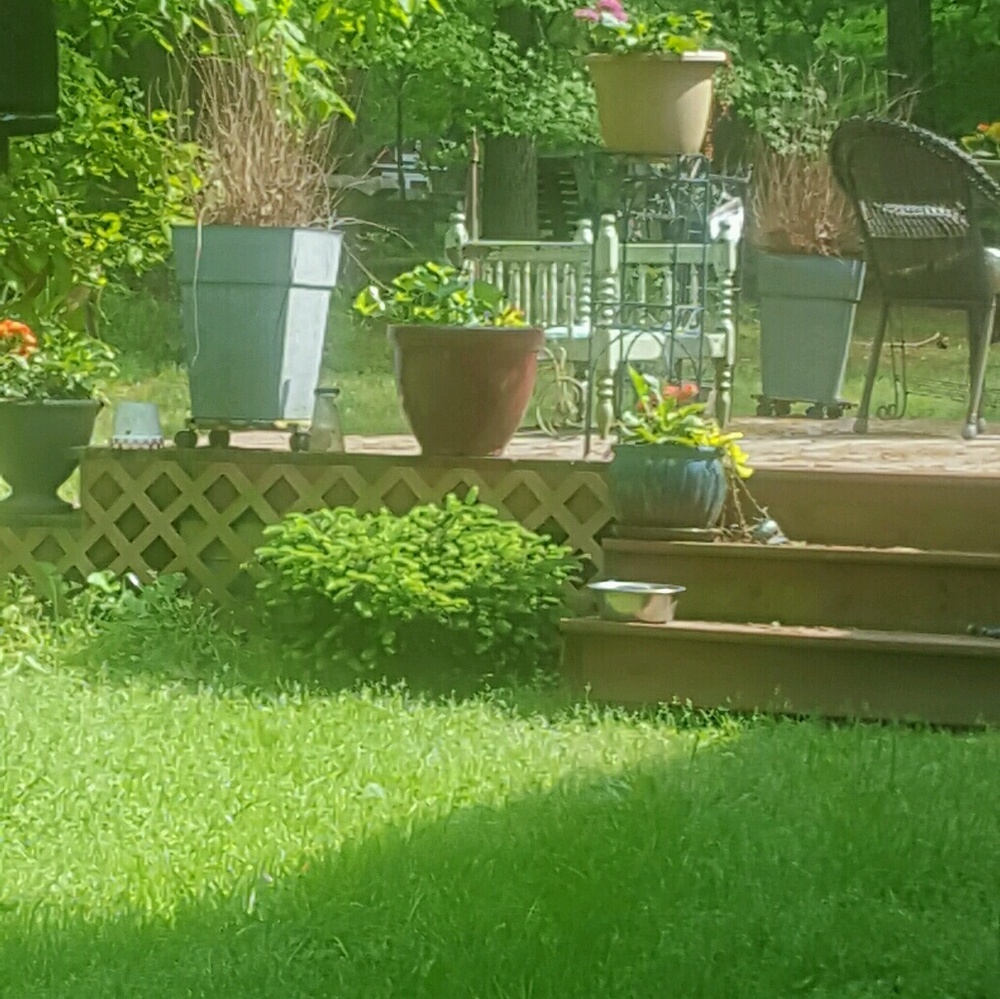 Meet your Posher, Jennifer